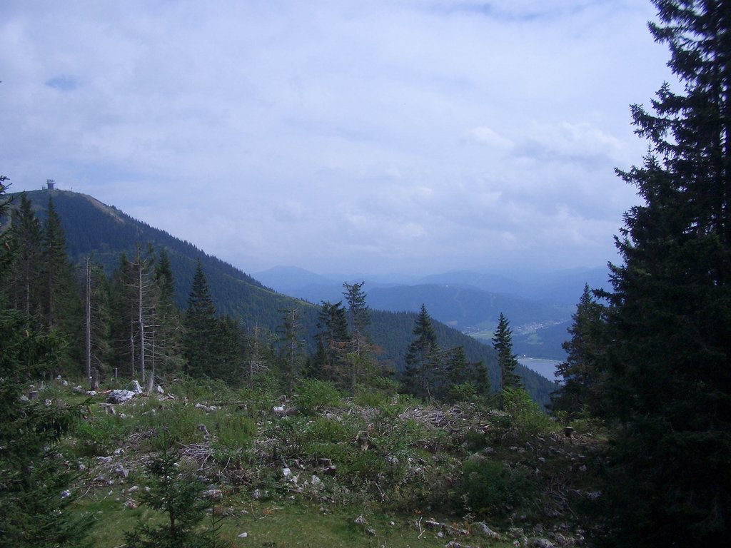 CIMG2150.JPG