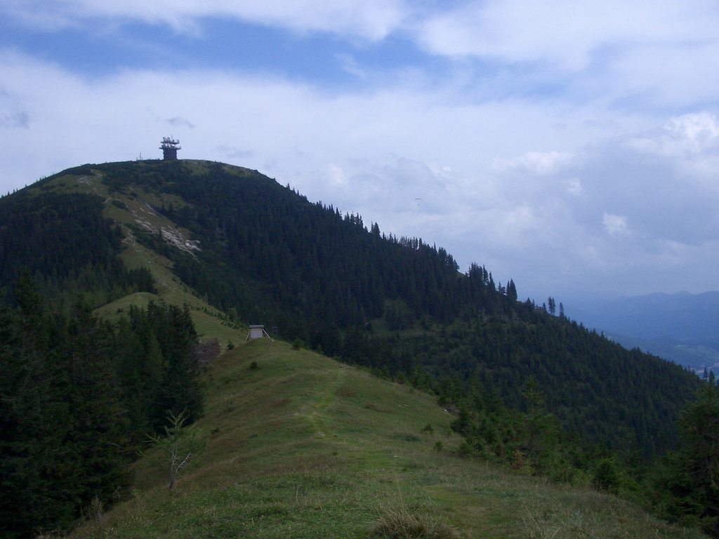 CIMG2161.JPG