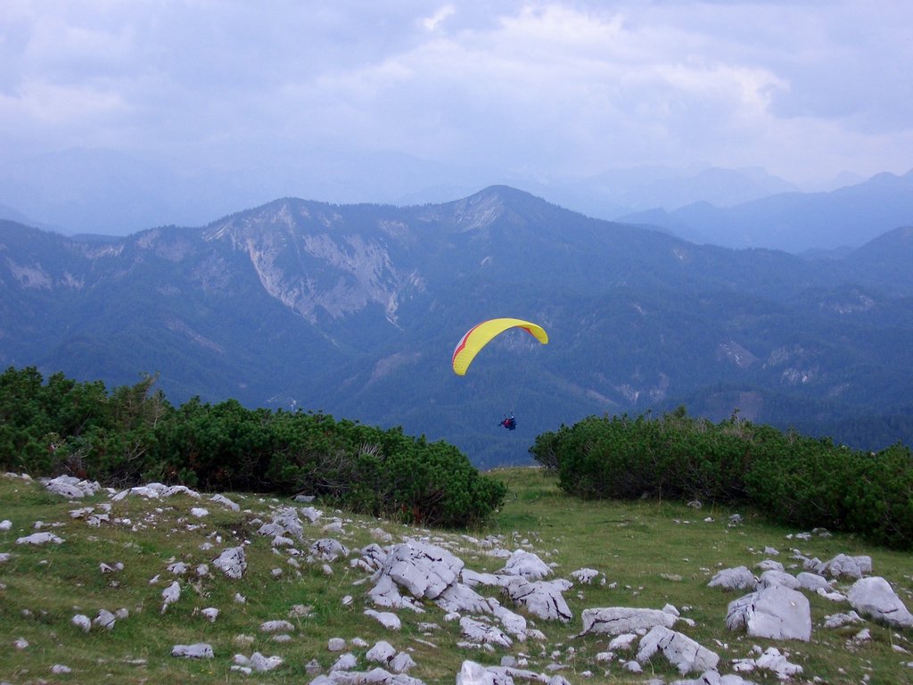 CIMG2174.JPG