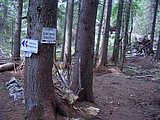CIMG2148.JPG
