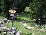 CIMG2151.JPG