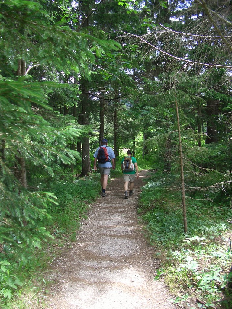 CIMG6050.JPG