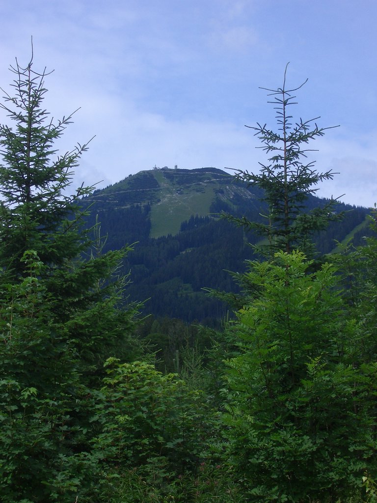 CIMG6052.JPG