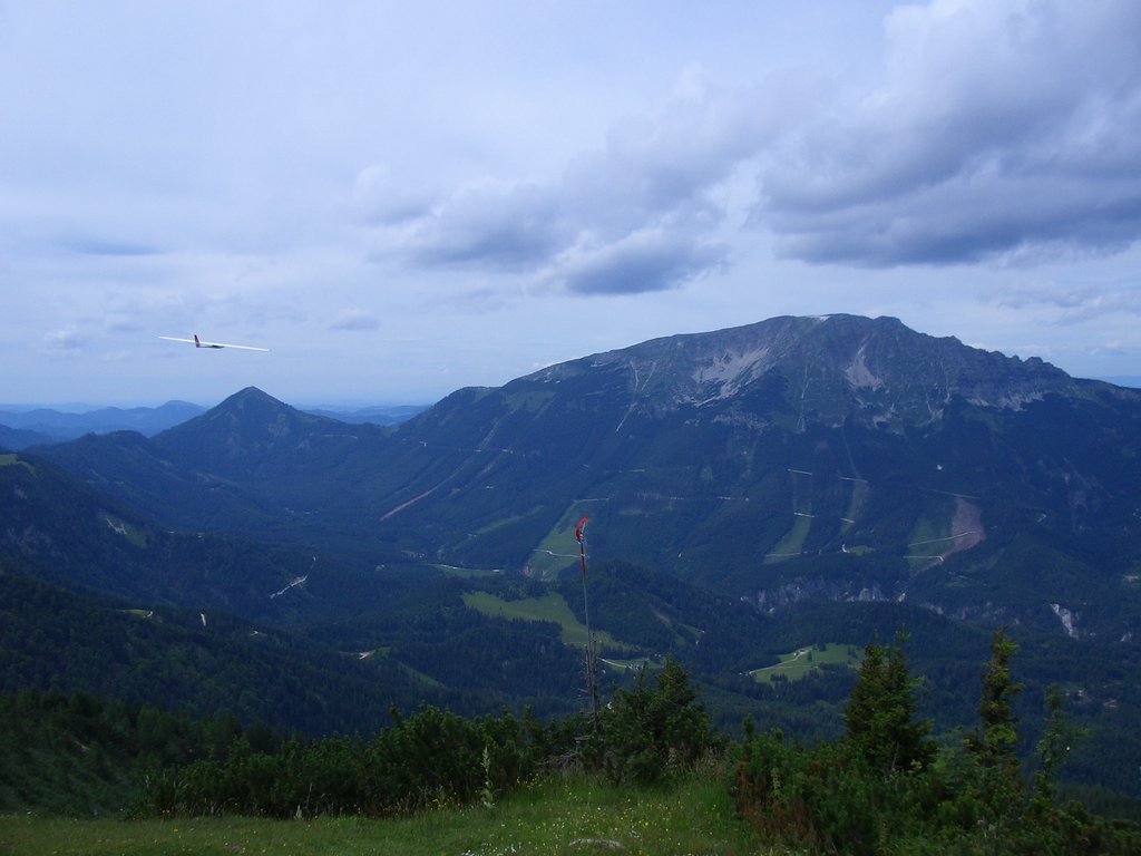 CIMG6075.JPG