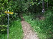 CIMG6058.JPG
