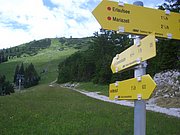 CIMG6065.JPG