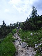 CIMG6070.JPG