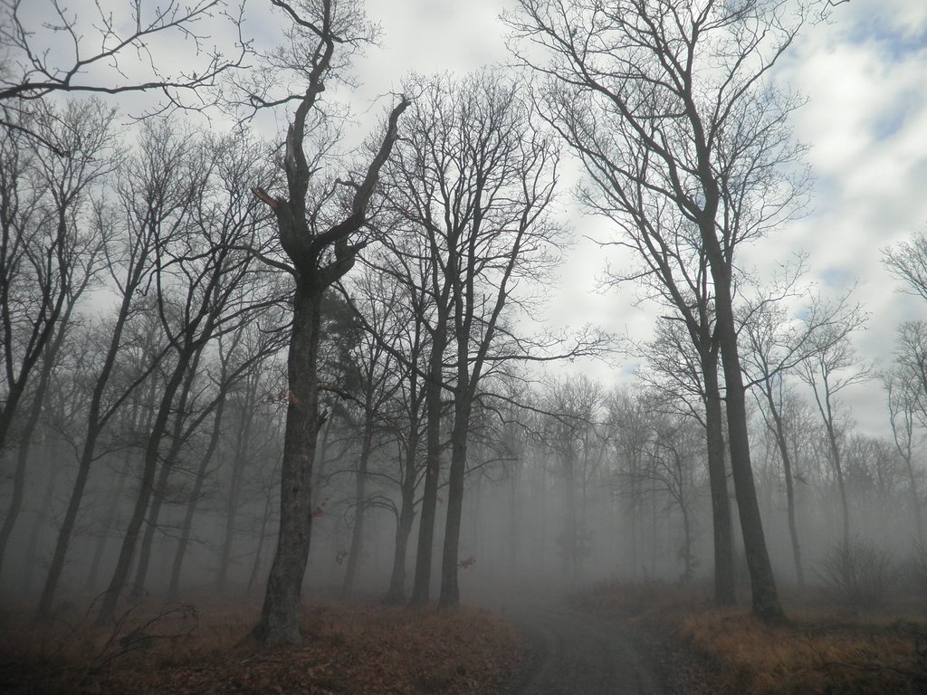 P1120018.JPG