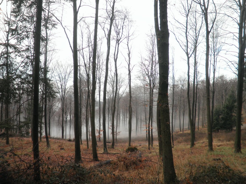P1120021.JPG