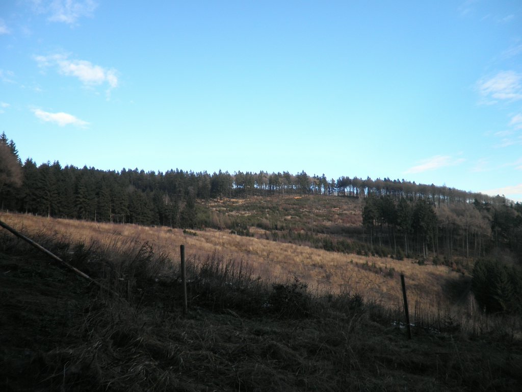 P1120028.JPG