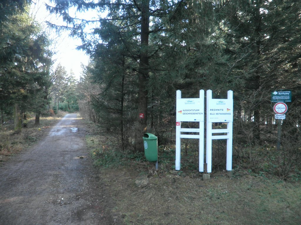 P1120029.JPG