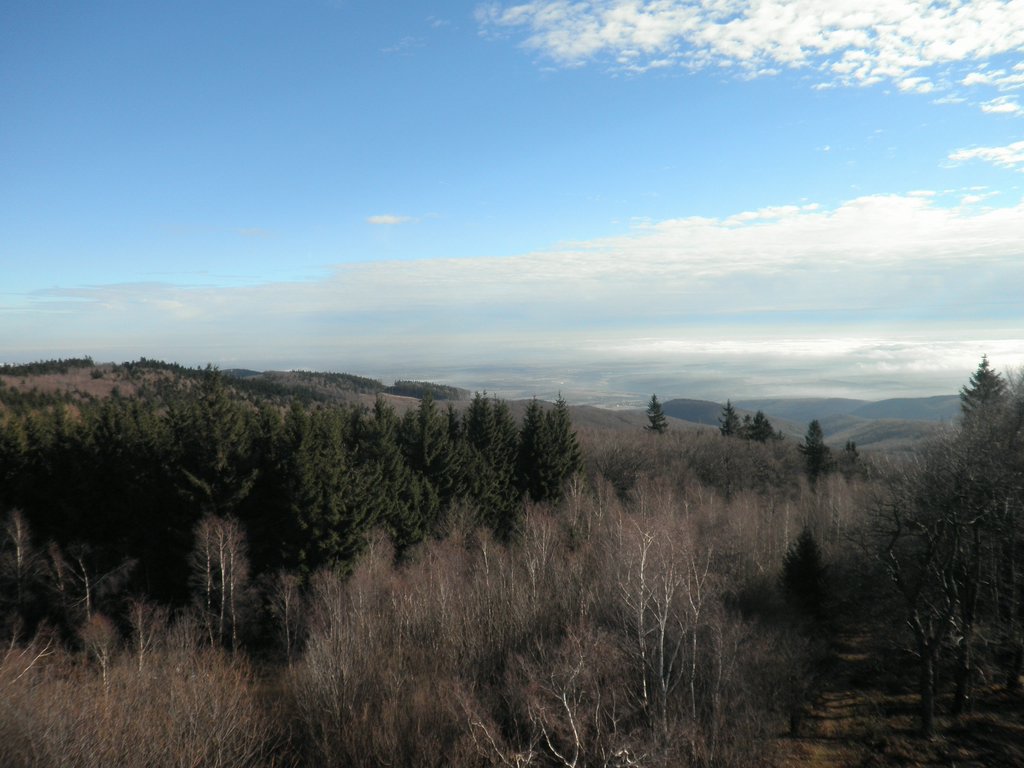 P1120034.JPG