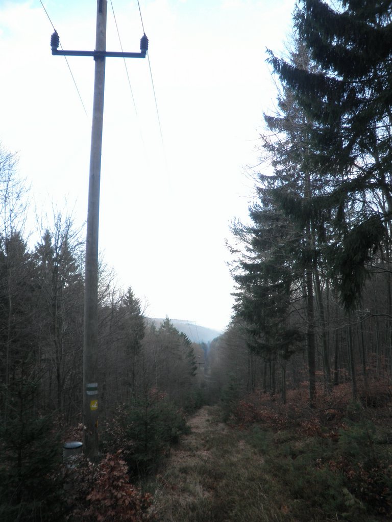 P1120118.JPG