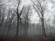 P1120018.JPG