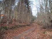 P1120024.JPG