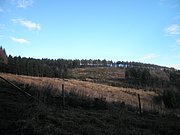 P1120028.JPG