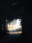 P1120030.JPG