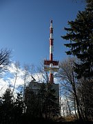 P1120084.JPG