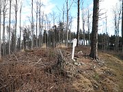 P1120101.JPG