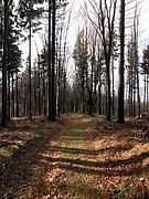 P1120103.JPG