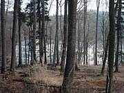 P1120117.JPG