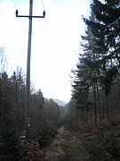 P1120118.JPG