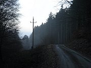 P1120120.JPG