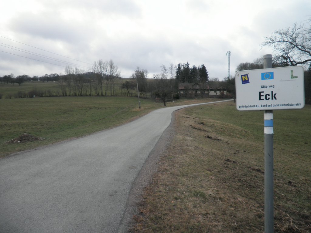 P1150003.JPG