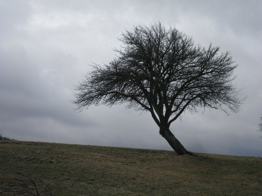 P1150008.JPG