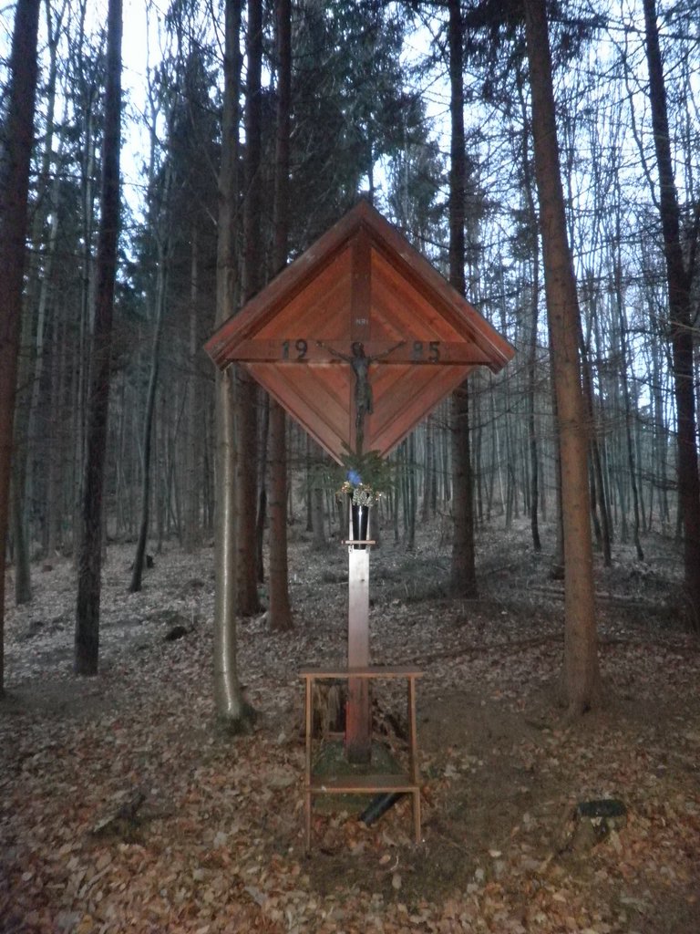 P1150011.JPG