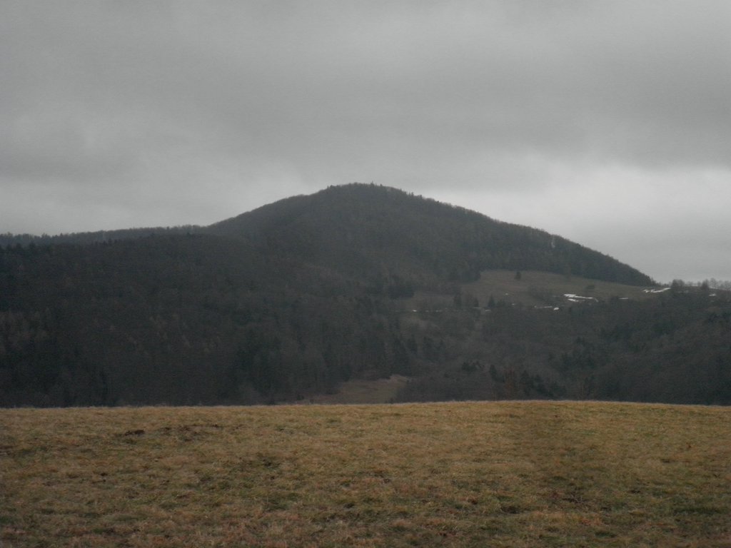 P1150012.JPG