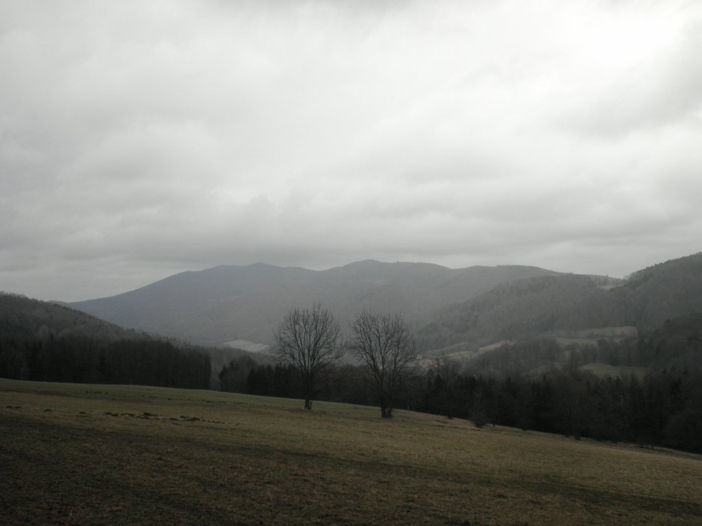 P1150016.JPG