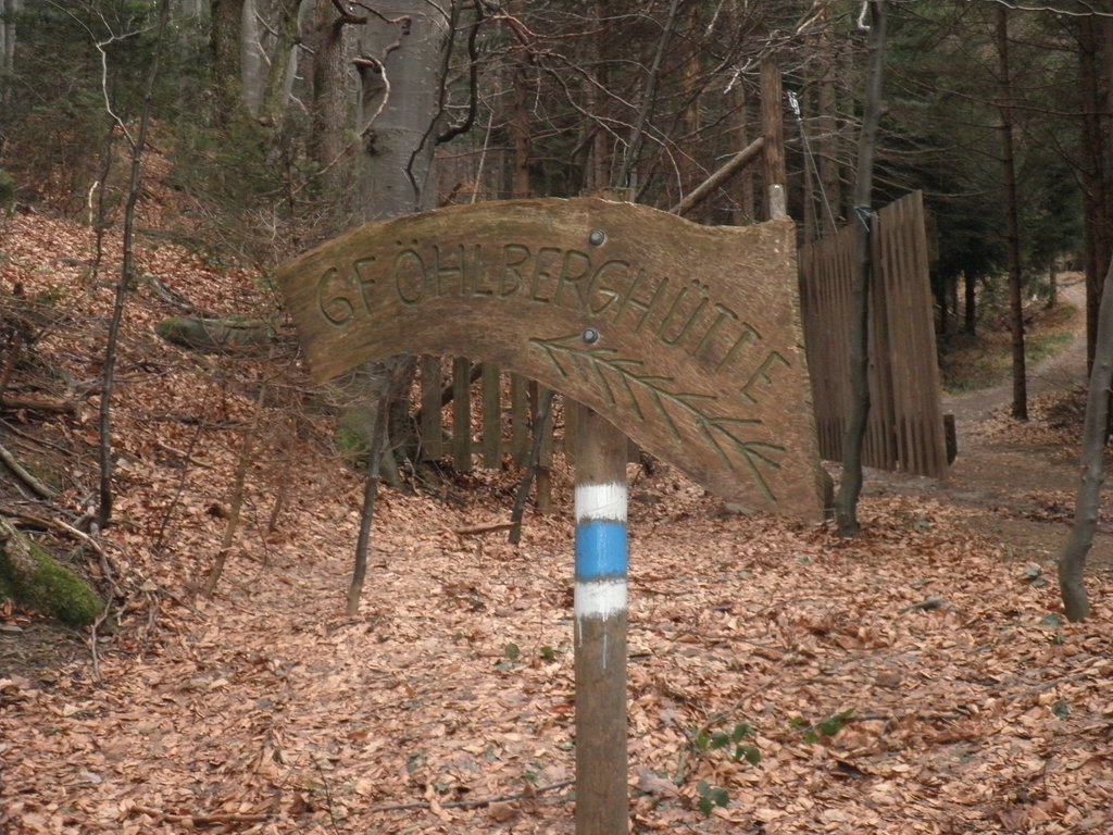 P1150020.JPG
