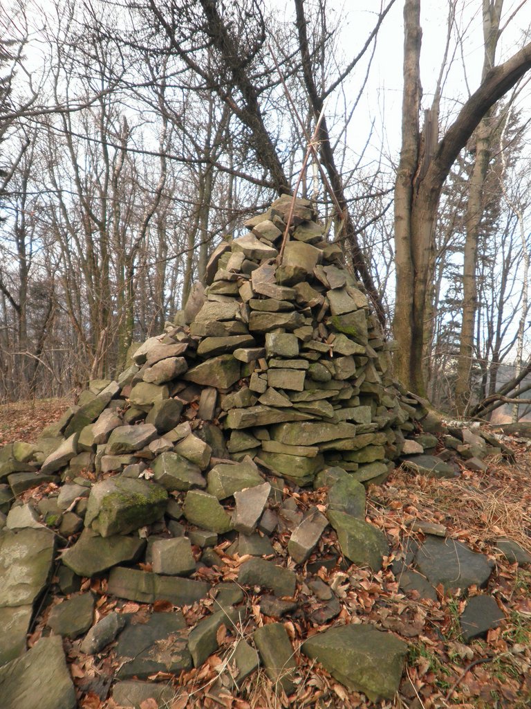 P1150023.JPG