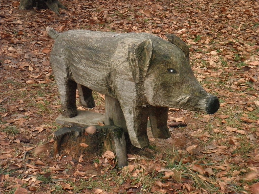 P1150025.JPG