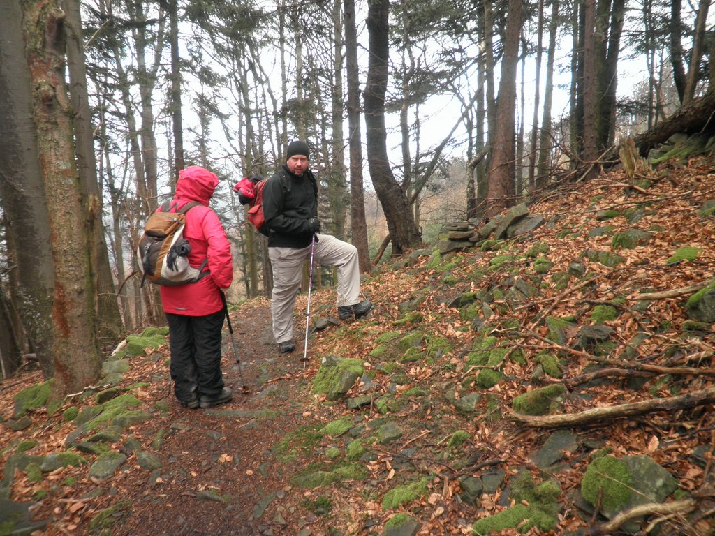P1150033.JPG