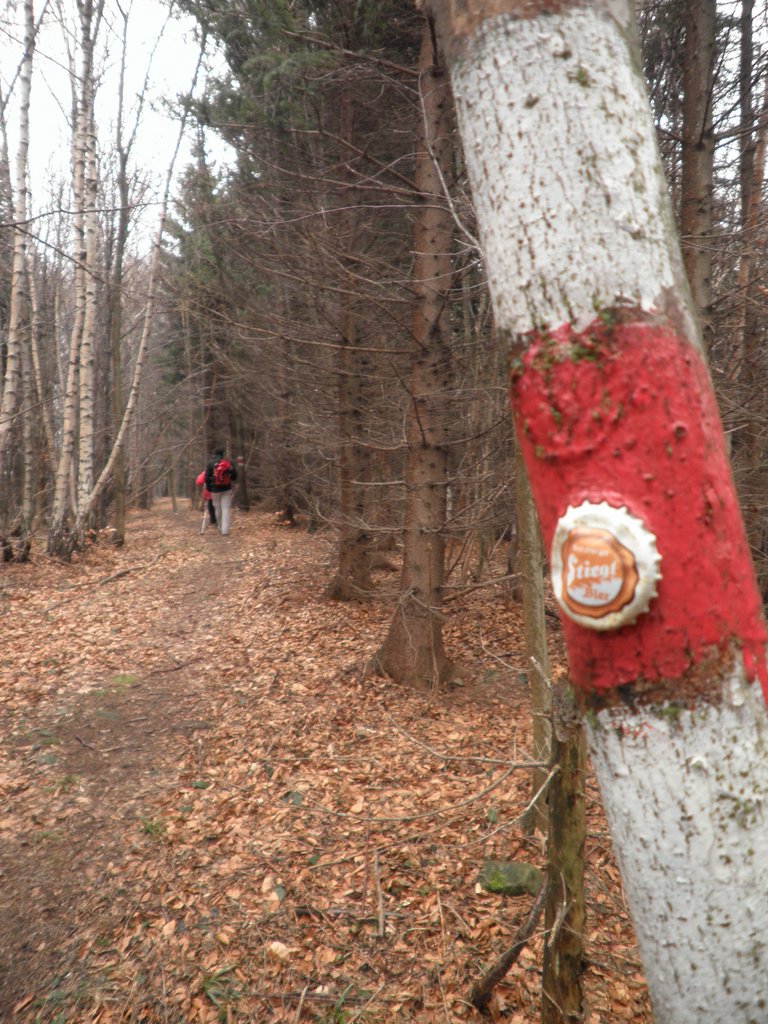 P1150035.JPG