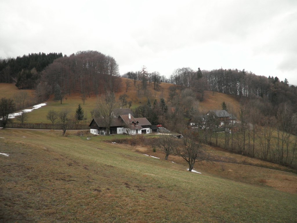 P1150037.JPG
