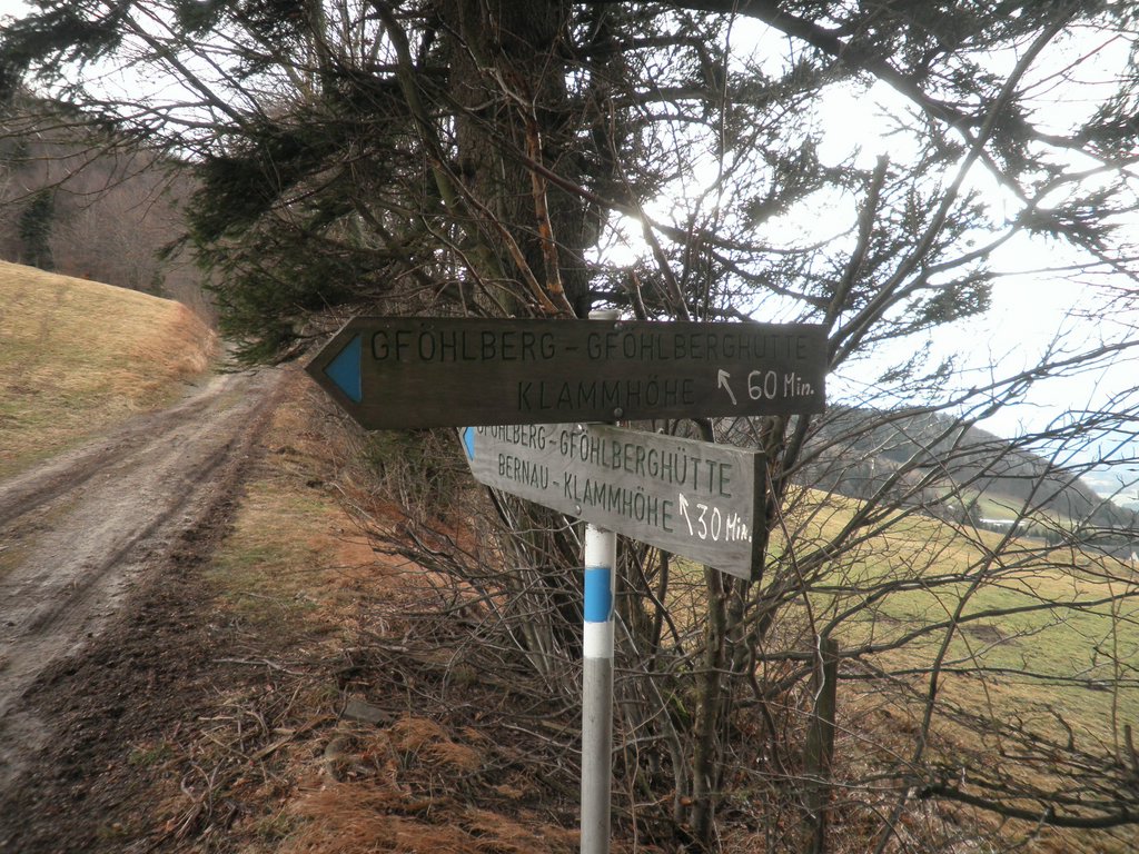 P1150038.JPG