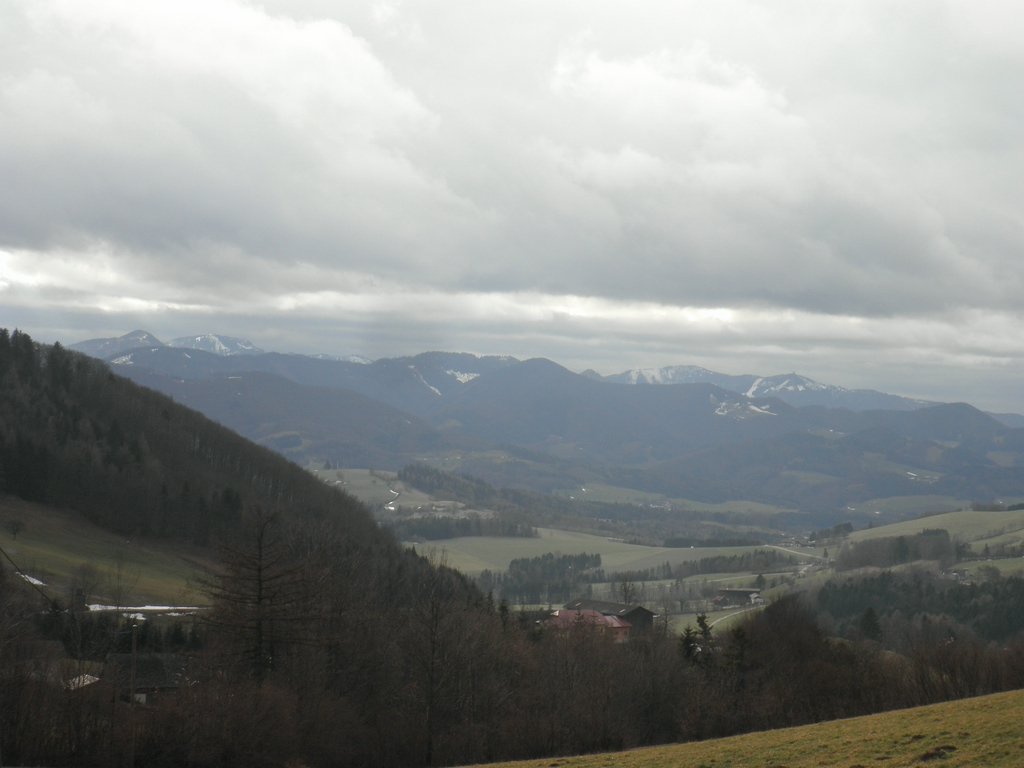 P1150039.JPG