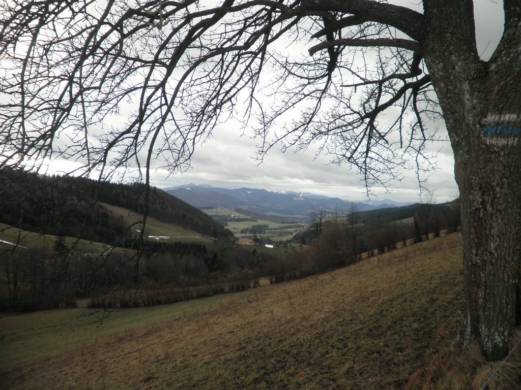 P1150040.JPG