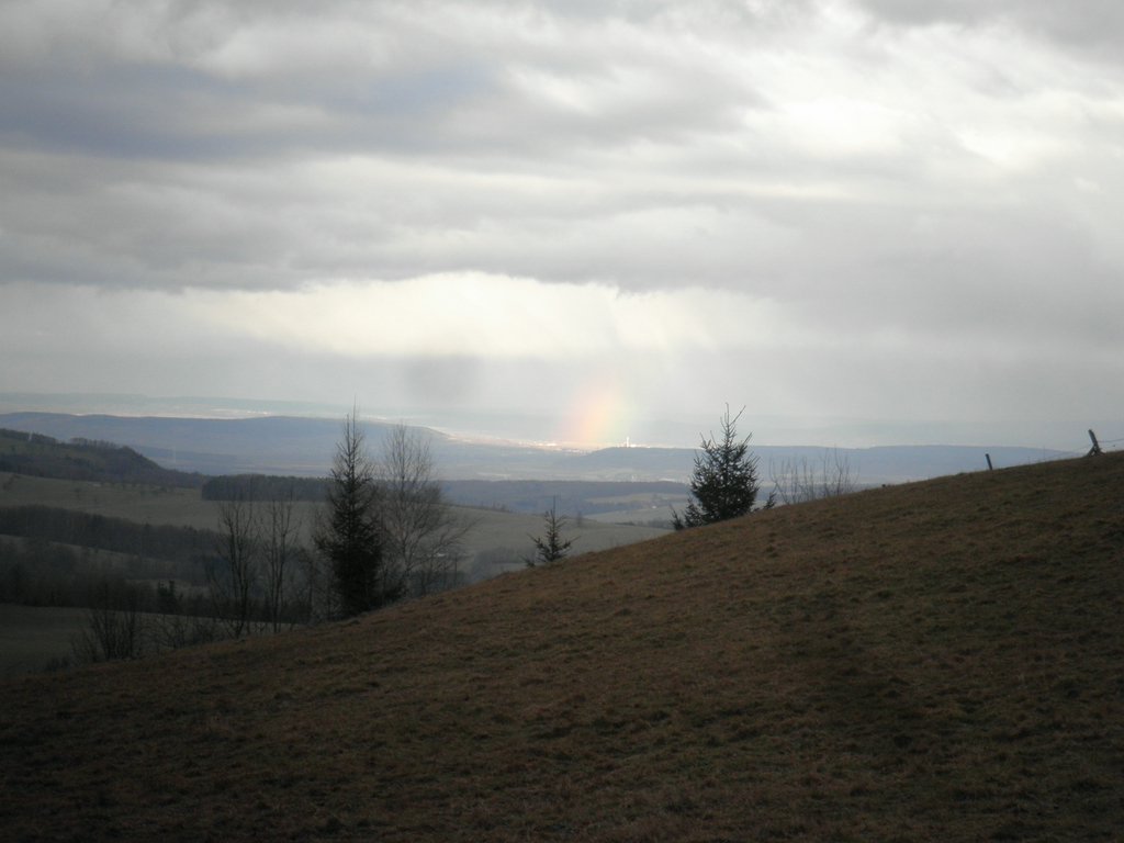 P1150042.JPG
