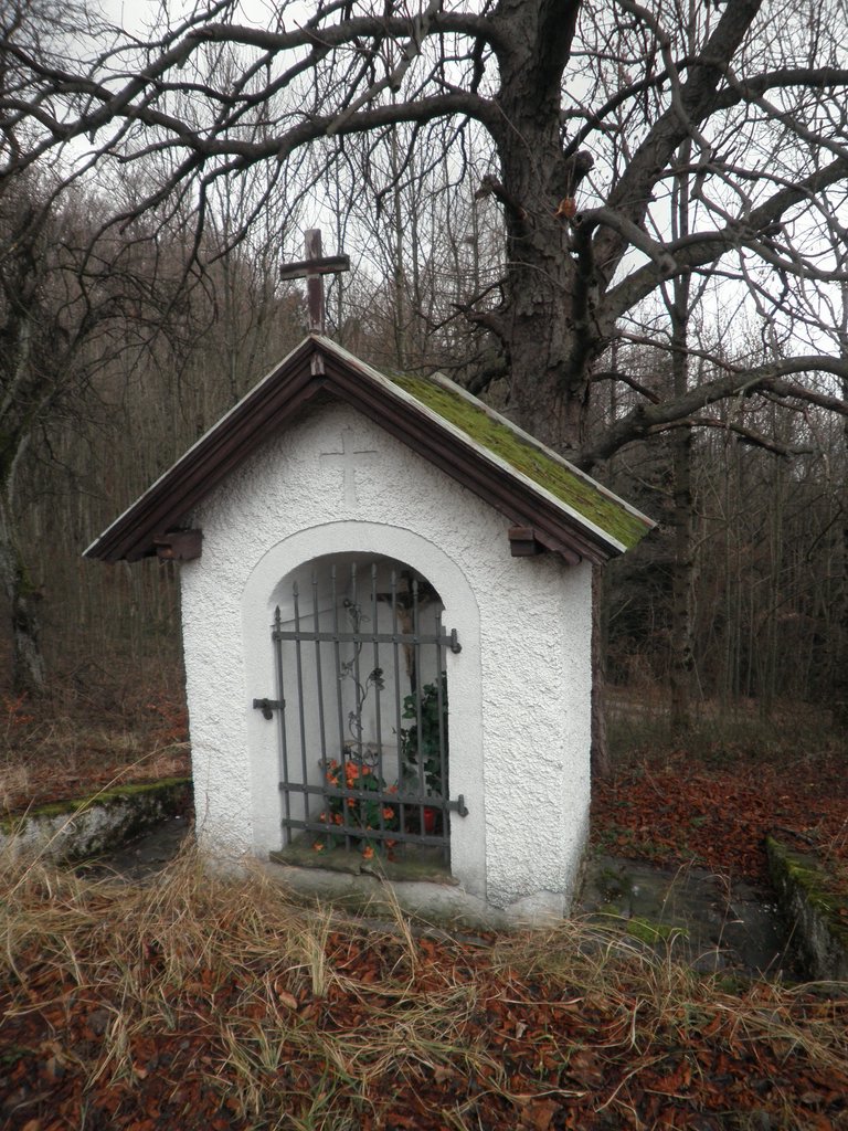 P1150045.JPG