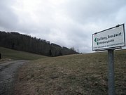 P1150009.JPG
