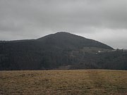 P1150012.JPG