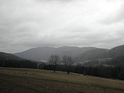 P1150016.JPG