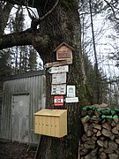 P1150017.JPG