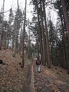 P1150019.JPG