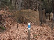 P1150020.JPG