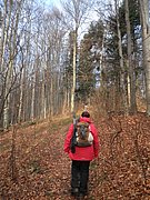 P1150021.JPG